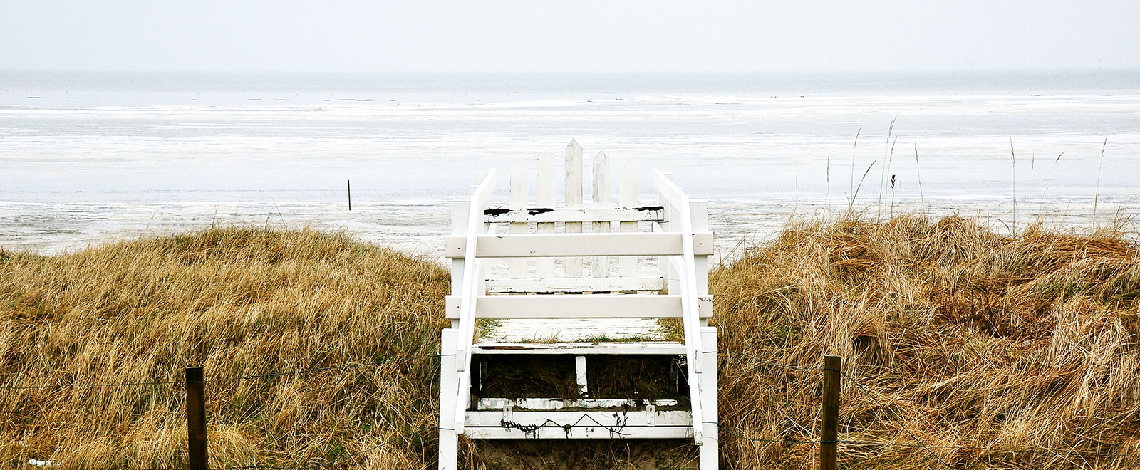 ddos攻击ip软件下载