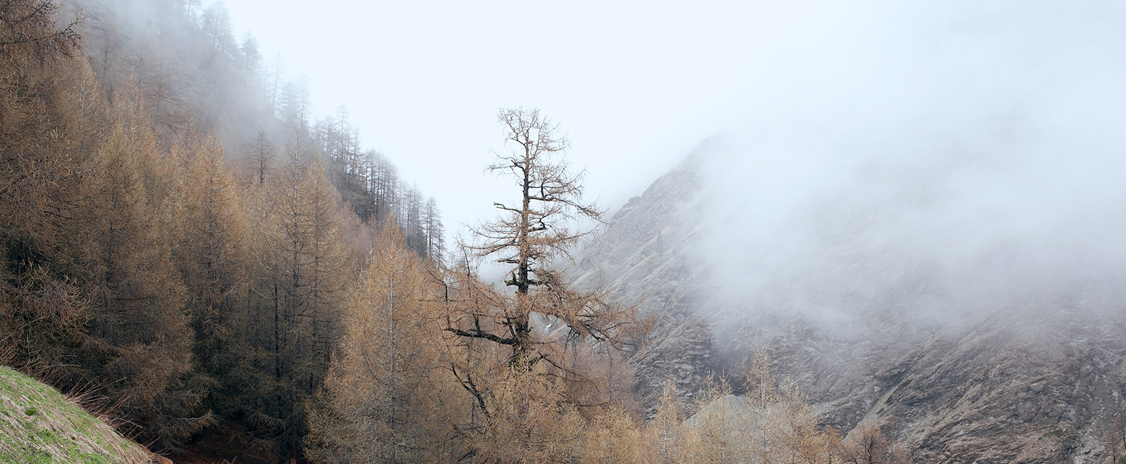 ddos攻击ip软件下载